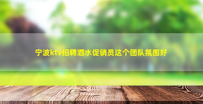 宁波ktv招聘酒水促销员这个团队氛围好